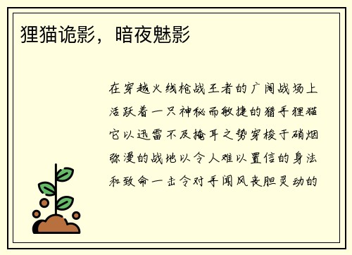 狸猫诡影，暗夜魅影